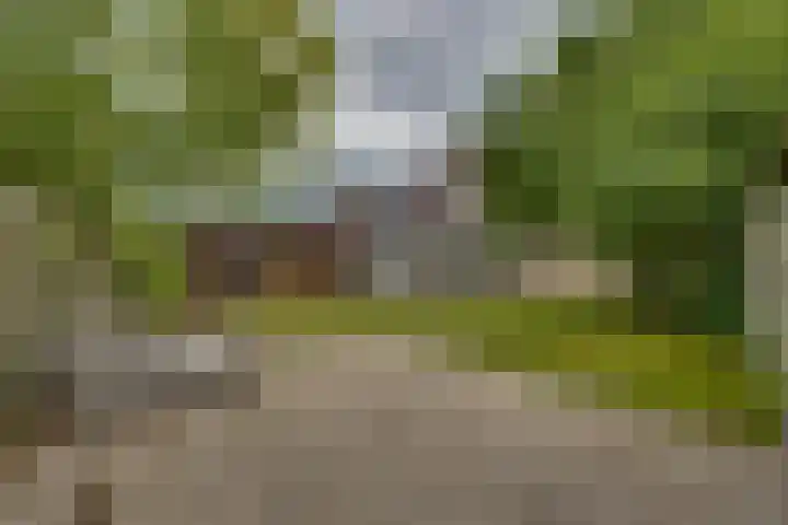 Winkelkamp 21 Dalfsen thumbnail 42