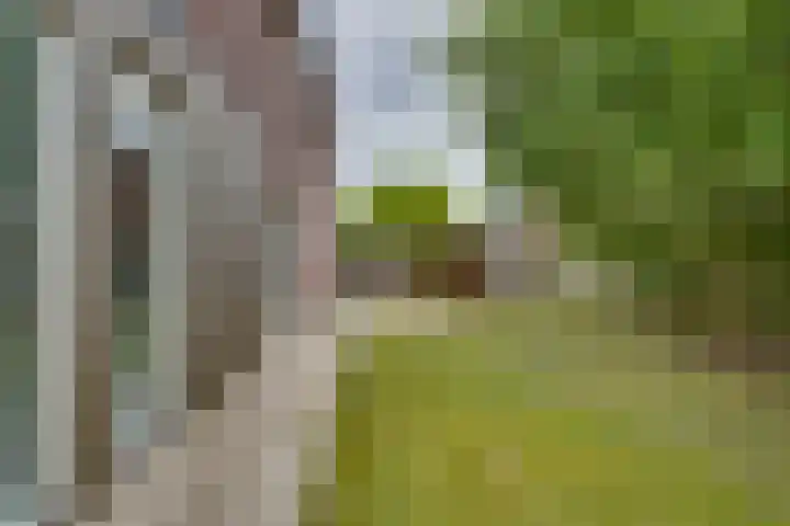 Winkelkamp 21 Dalfsen thumbnail 44