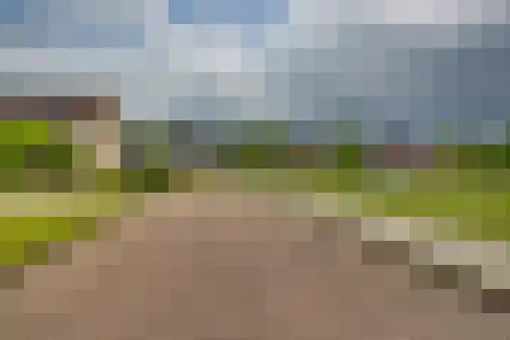 Winkelkamp 21 Dalfsen thumbnail 46