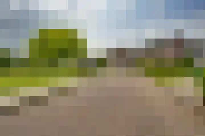 Winkelkamp 21 Dalfsen thumbnail 47