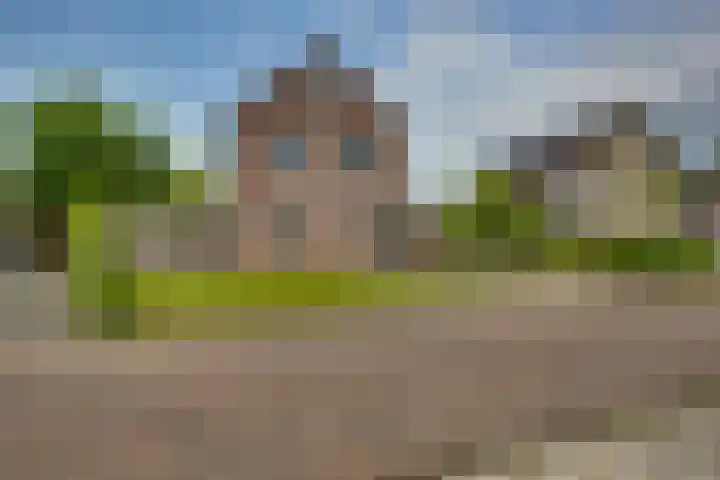 Winkelkamp 21 Dalfsen thumbnail 48