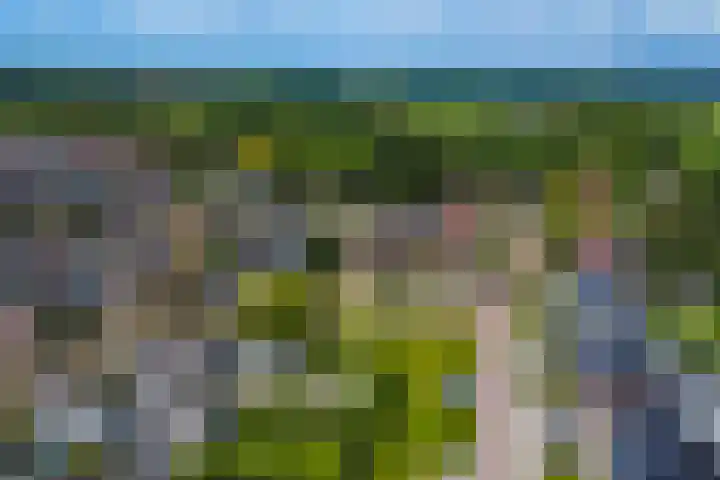 Winkelkamp 21 Dalfsen thumbnail 49