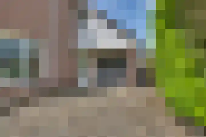 Winkelkamp 21 Dalfsen thumbnail 6