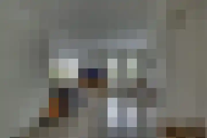 Winkelkamp 21 Dalfsen thumbnail 8