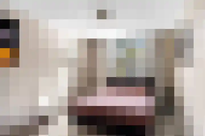 Winkelmaad 17 Oosterwolde thumbnail 20