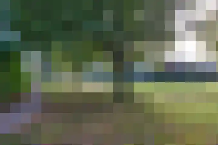 Winkelmaad 17 Oosterwolde thumbnail 30