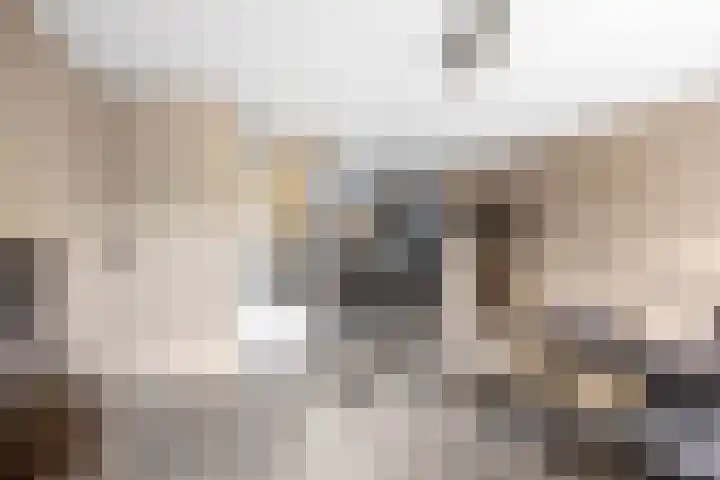 Winkelmaad 17 Oosterwolde thumbnail 8