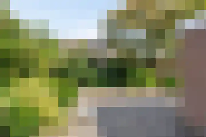 Winkelmaad 2 Oosterwolde thumbnail 23