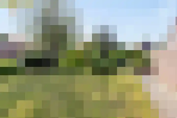 Winkelmaad 2 Oosterwolde thumbnail 4