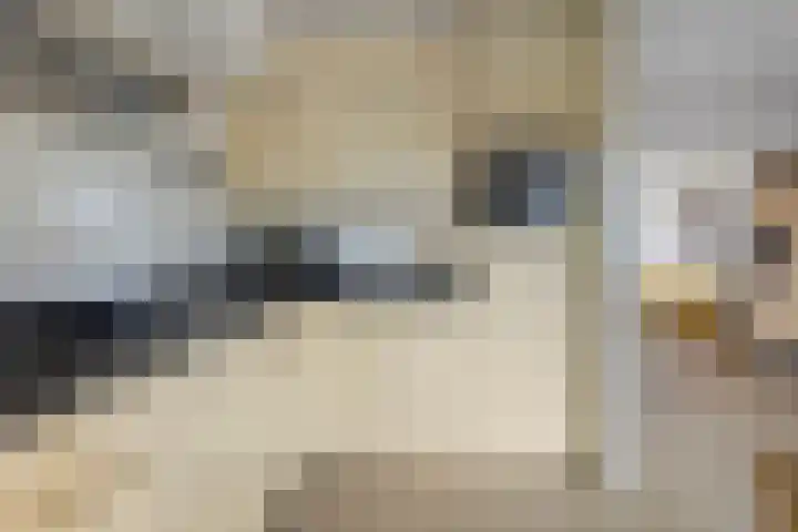 Winkelmaad 37 Oosterwolde thumbnail 16