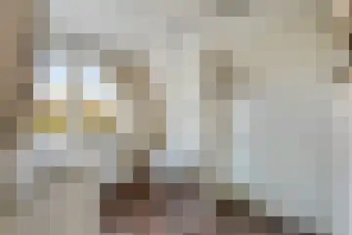 Winkelmaad 37 Oosterwolde thumbnail 25