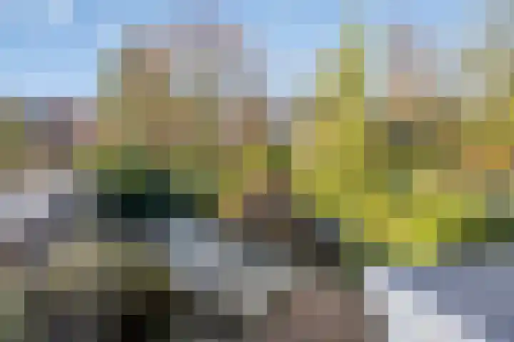 Winkelmaad 37 Oosterwolde thumbnail 30