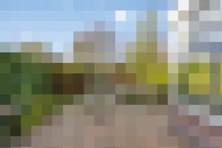 Winkelmaad 37 Oosterwolde thumbnail 33