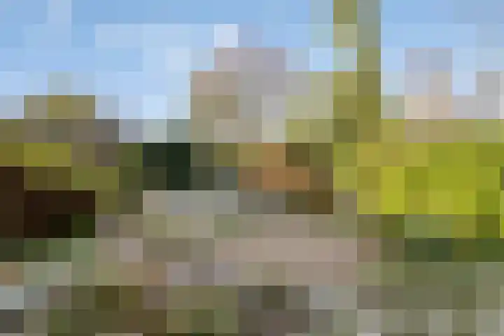 Winkelmaad 37 Oosterwolde thumbnail 34
