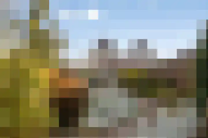 Winkelmaad 37 Oosterwolde thumbnail 36