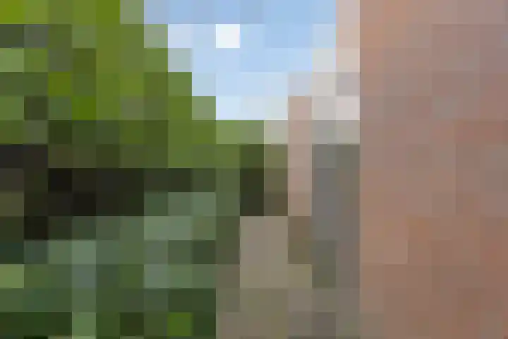 Winkelmaad 37 Oosterwolde thumbnail 38