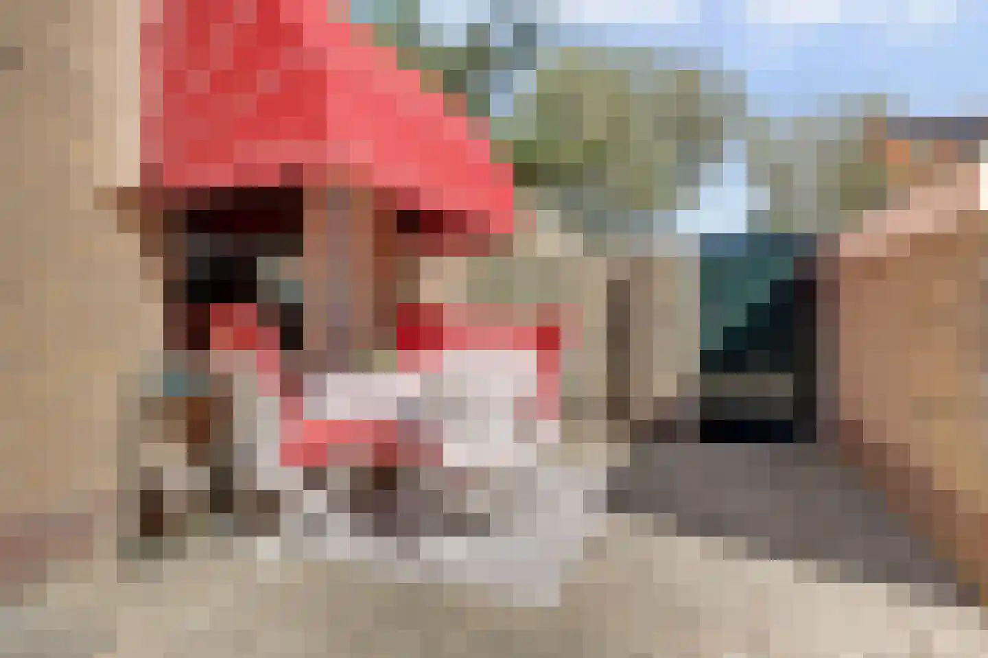Winkelmanplantsoen 2 Egmond aan Zee thumbnail 32