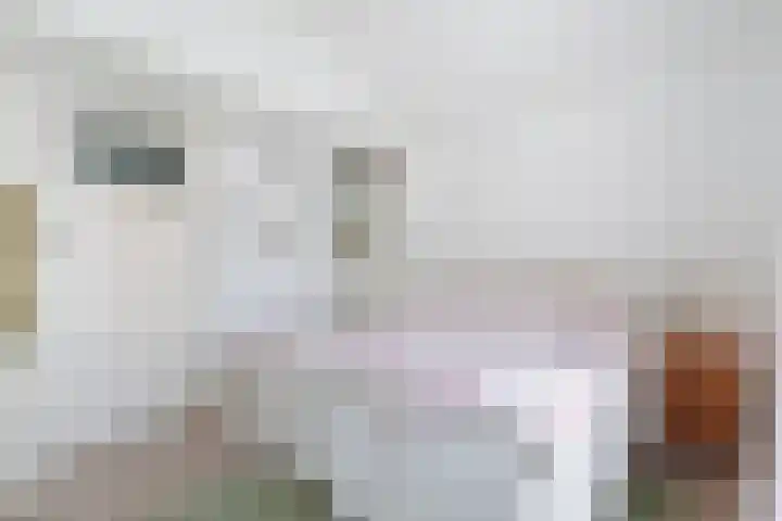 Winkelmanstraat 18 Vlissingen thumbnail 14
