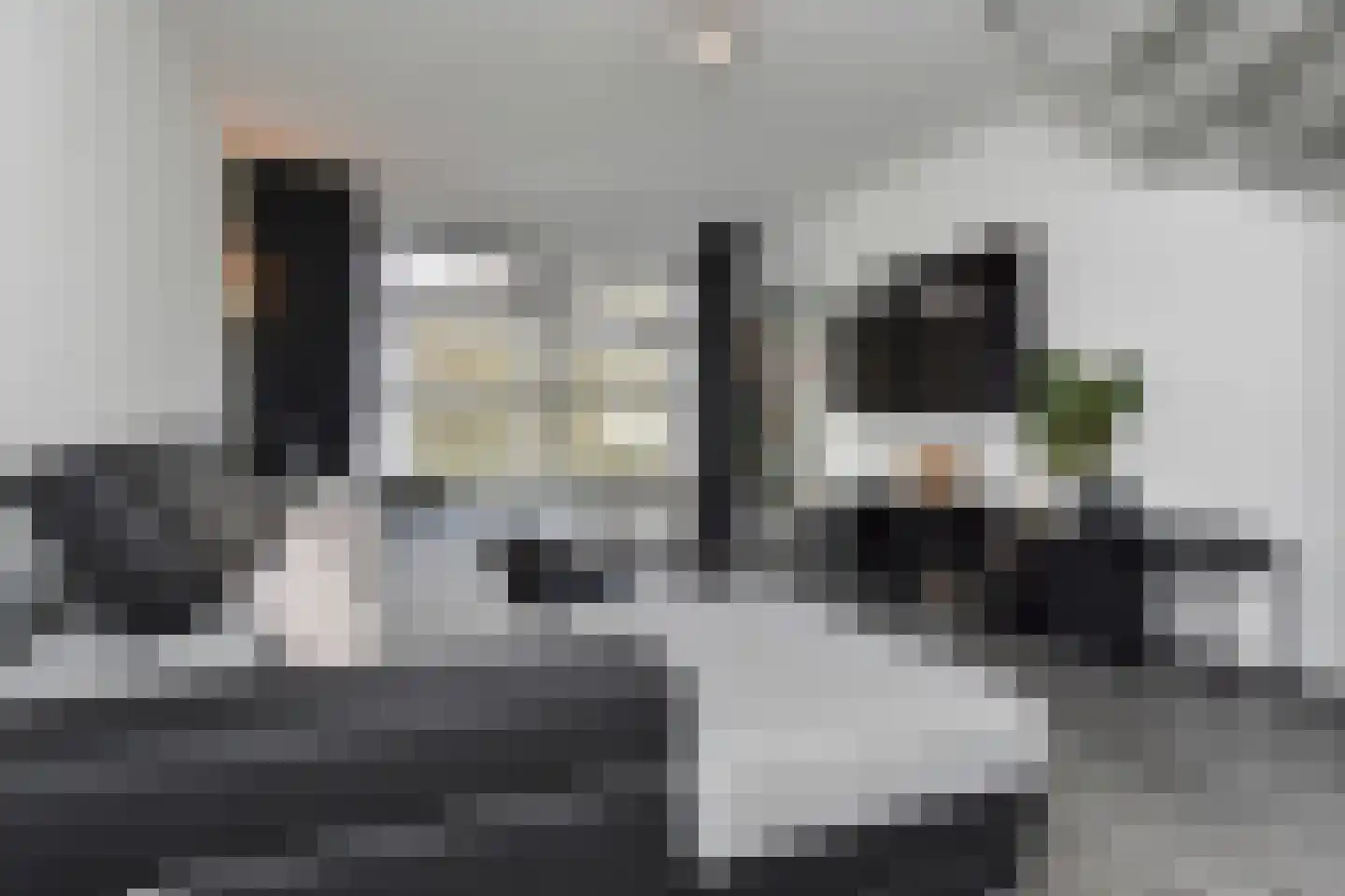 Winkelstede 27 Den Haag thumbnail 6