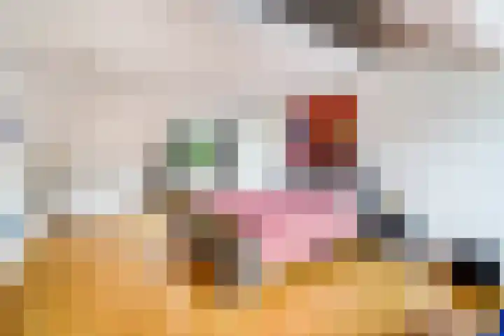 Winkelstede 3 Den Haag thumbnail 23