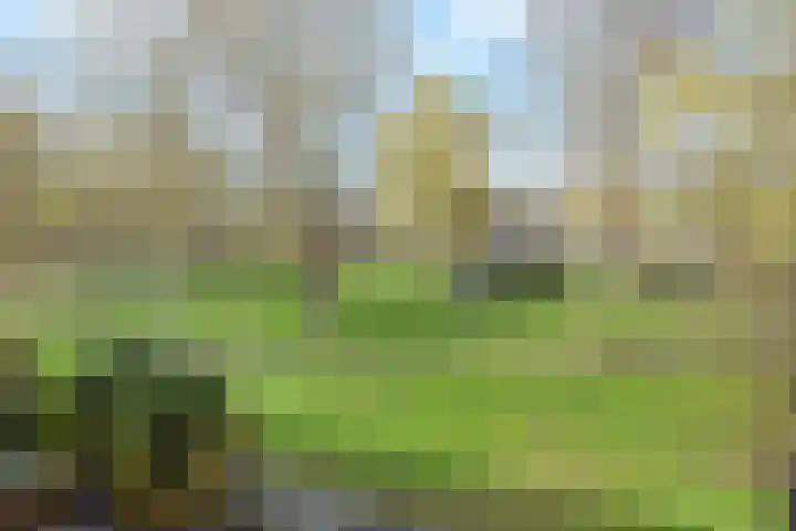 Winkelstede 3 Den Haag thumbnail 37