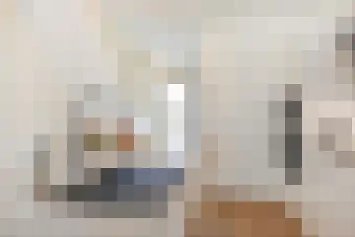 Winkelstede 3 Den Haag thumbnail 7