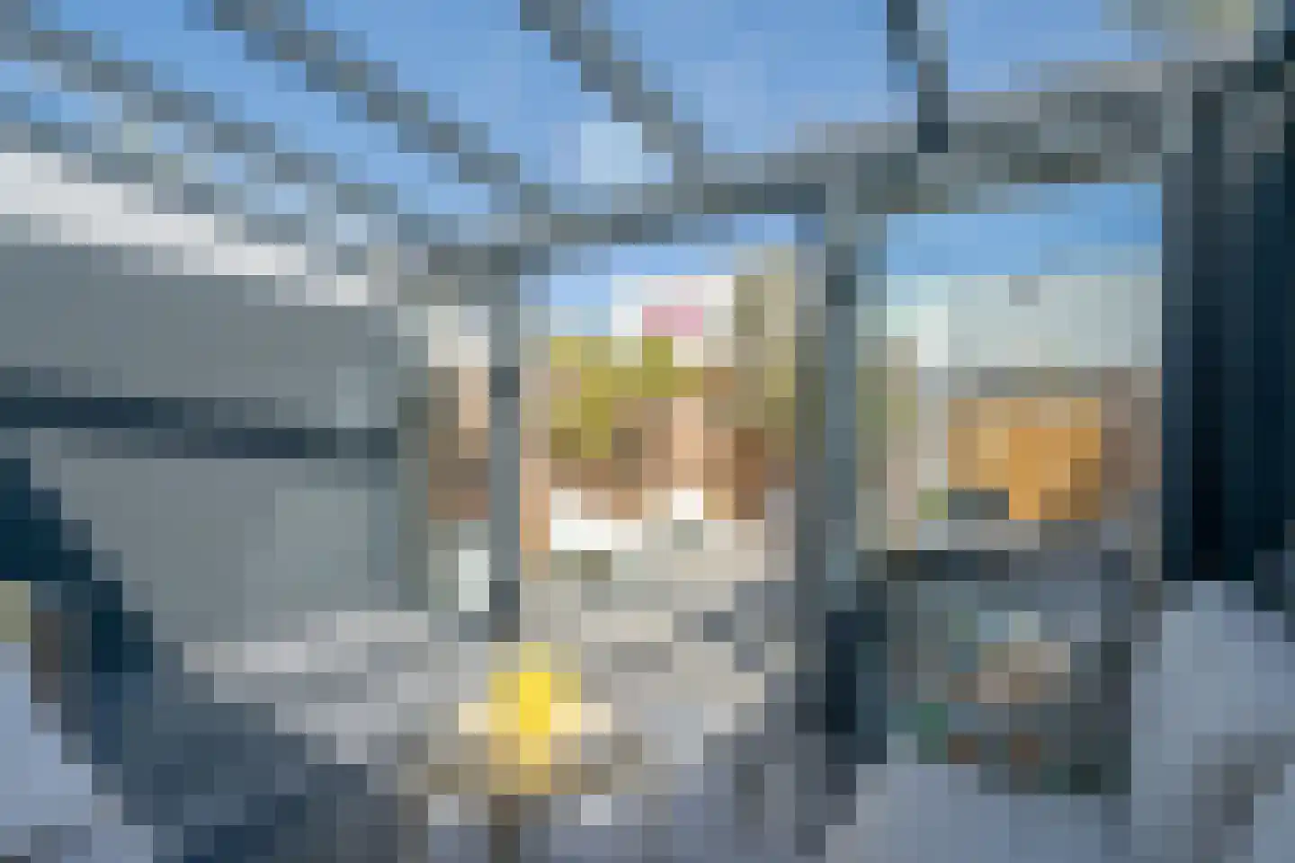 Winkelstede 42 Den Haag thumbnail 12