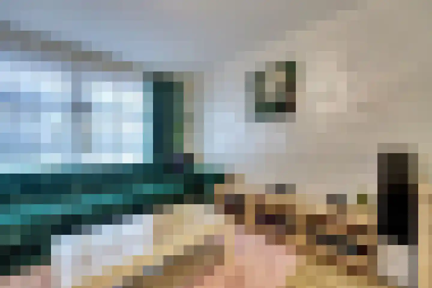 Winkelstede 53 Den Haag thumbnail 9