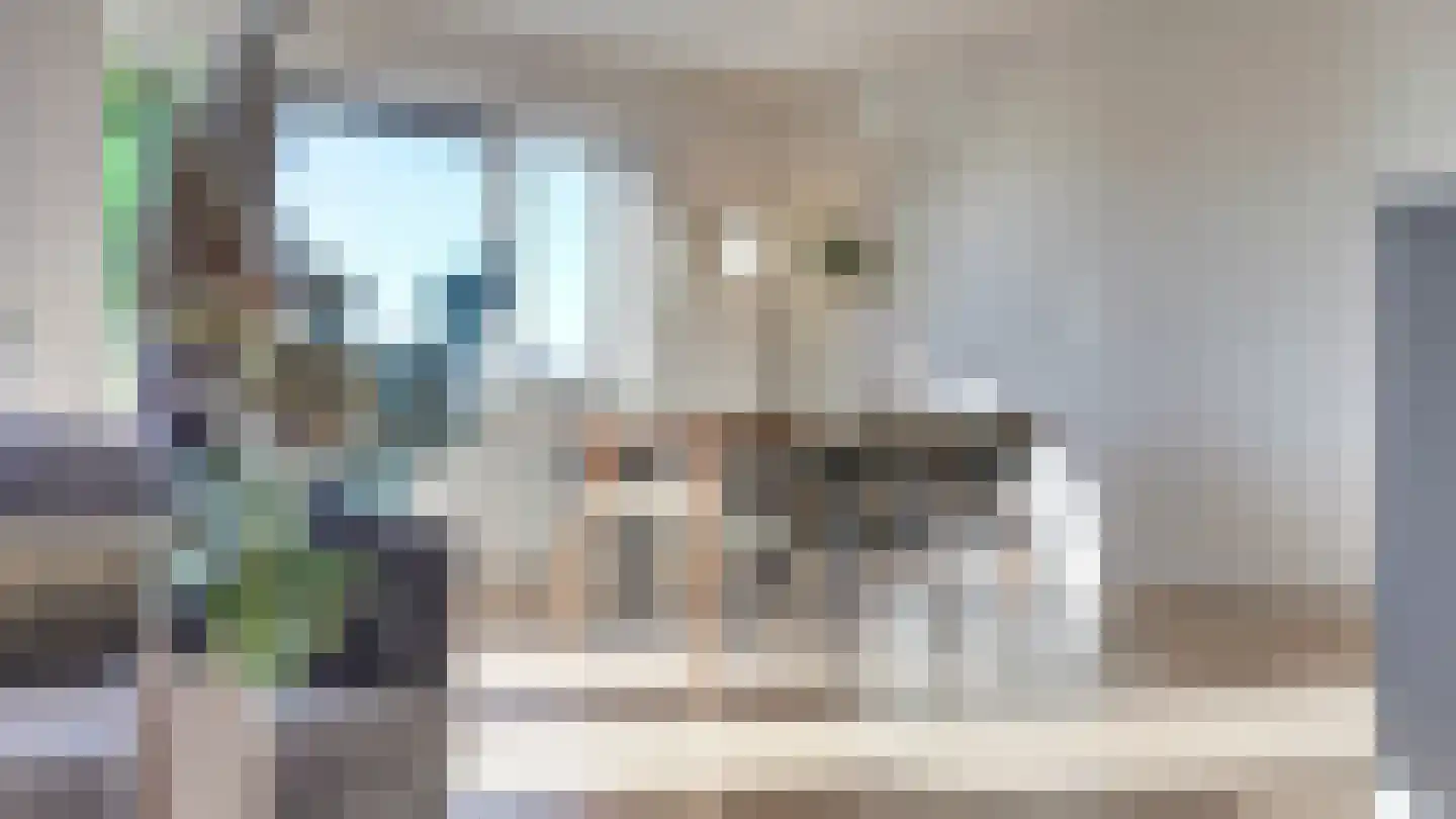 Winkelsteeg 114 Almelo thumbnail 13