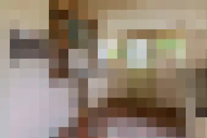 Winkelsteeg 2 Uffelte thumbnail 15