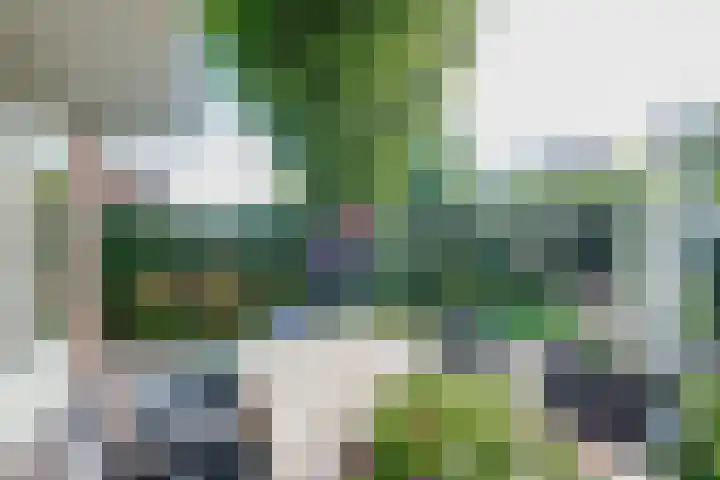 Winkelsteeg 2 Uffelte thumbnail 20