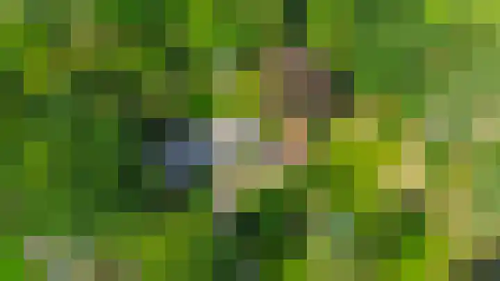 Winkelsteeg 2 Uffelte foto 3