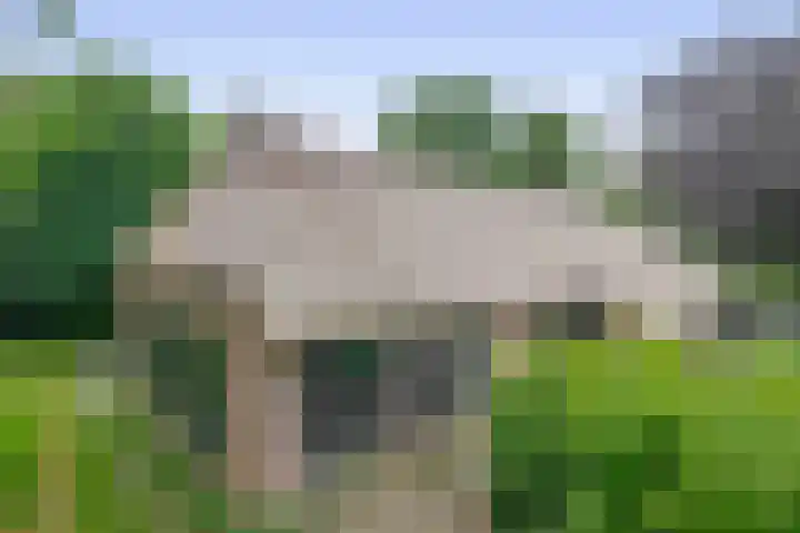 Winkelsteeg 2 Uffelte thumbnail 36