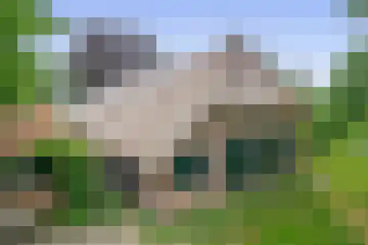 Winkelsteeg 2 Uffelte thumbnail 38