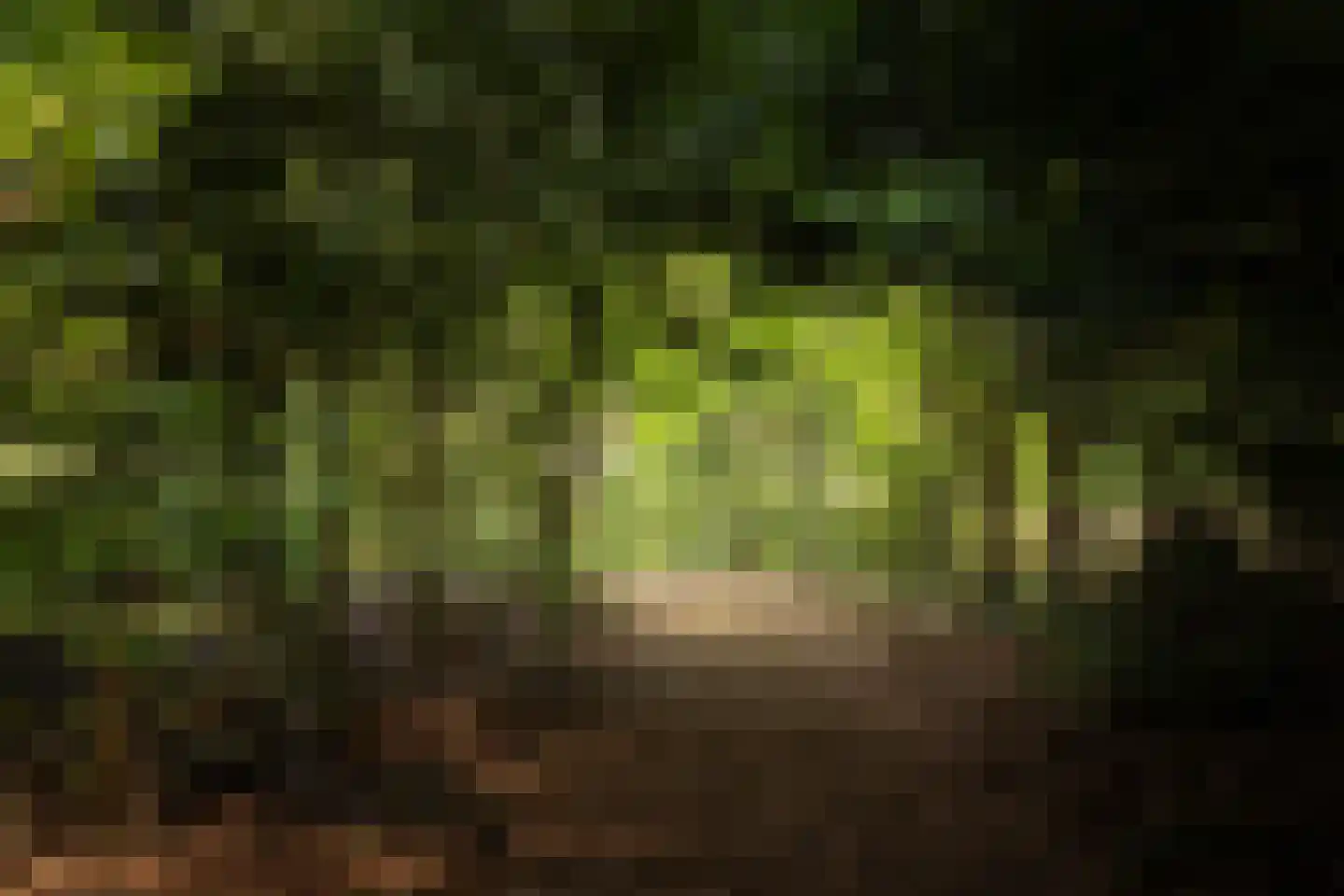Winkelsteeg 2 Uffelte thumbnail 39