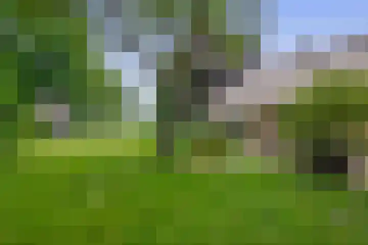 Winkelsteeg 2 Uffelte thumbnail 42