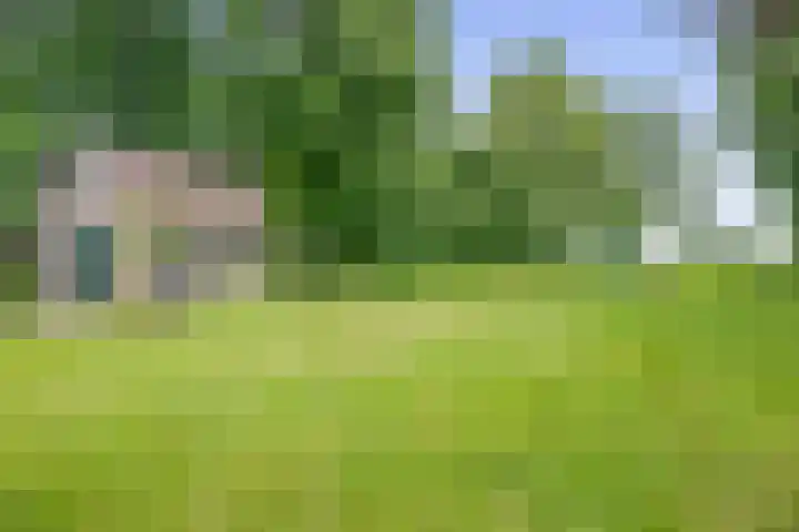 Winkelsteeg 2 Uffelte thumbnail 47