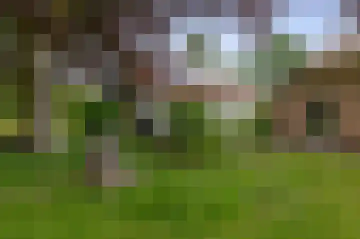 Winkelsteeg 2 Uffelte thumbnail 48