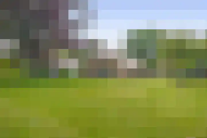 Winkelsteeg 2 Uffelte thumbnail 5