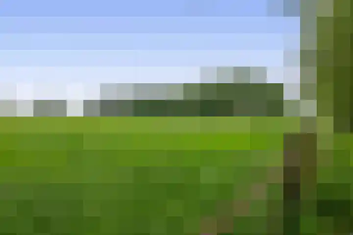 Winkelsteeg 2 Uffelte thumbnail 50