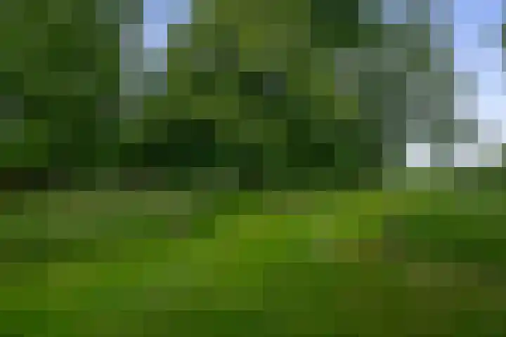 Winkelsteeg 2 Uffelte thumbnail 51
