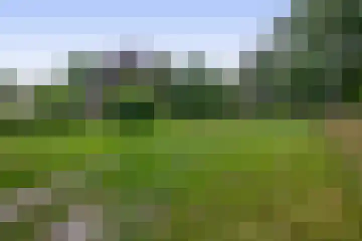 Winkelsteeg 2 Uffelte thumbnail 54