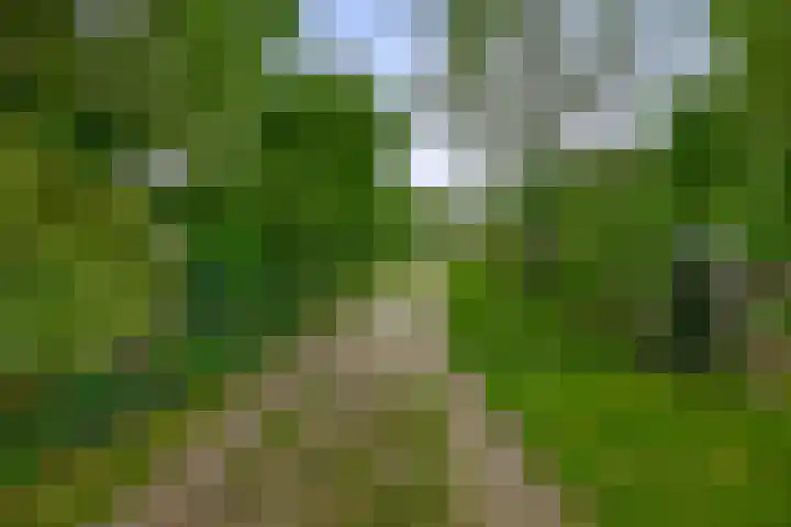 Winkelsteeg 2 Uffelte thumbnail 61