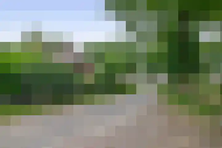 Winkelsteeg 2 Uffelte thumbnail 63