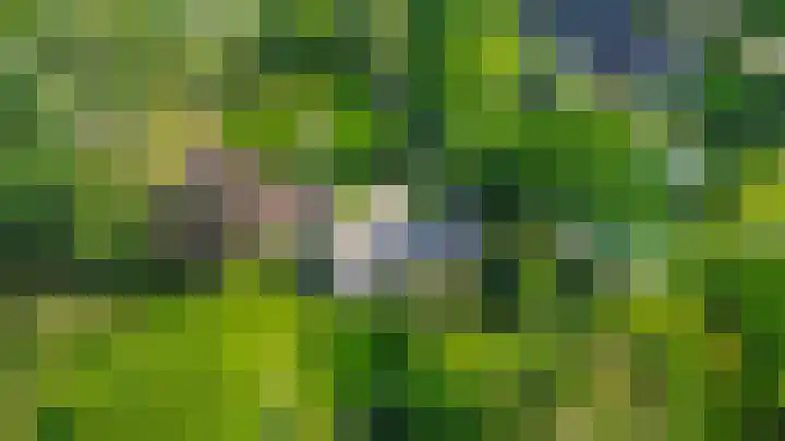 Winkelsteeg 2 Uffelte thumbnail 64