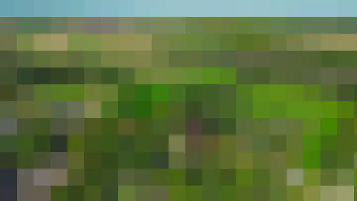Winkelsteeg 2 Uffelte thumbnail 66