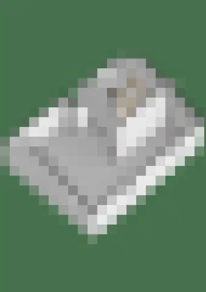 Winkelsteeg 2 Uffelte thumbnail 77