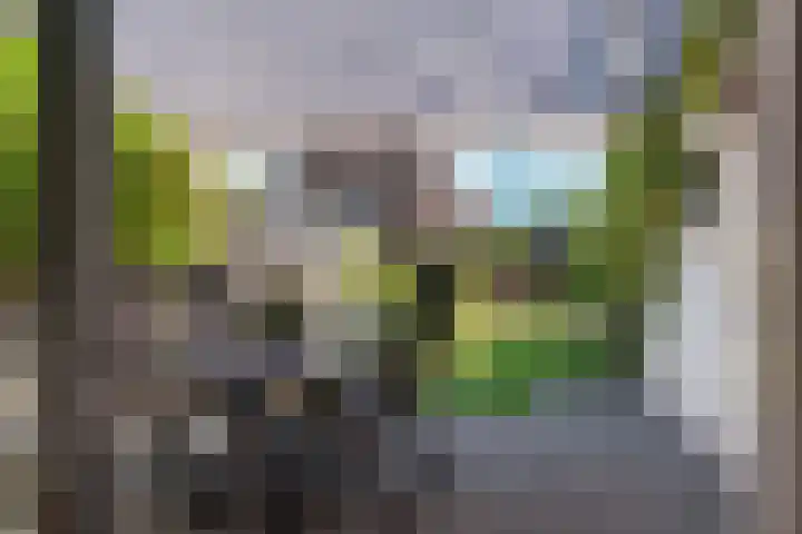 Winkelsteegseweg 22 Nijmegen thumbnail 42