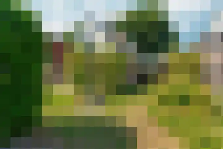Winkelsteegseweg 22 Nijmegen thumbnail 44