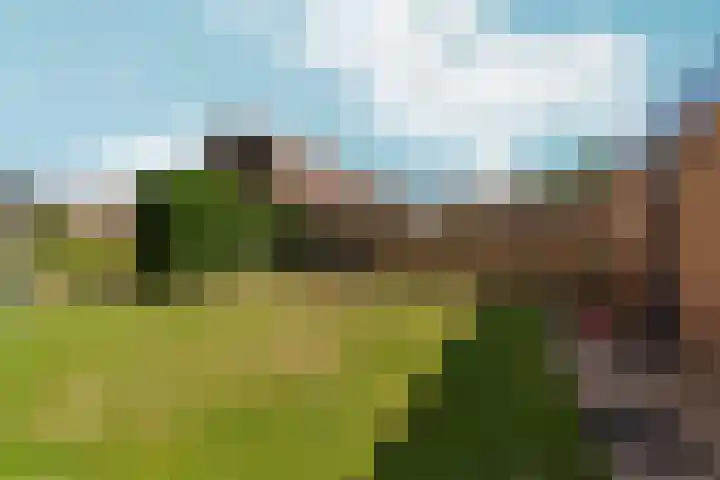 Winkelsteegseweg 22 Nijmegen thumbnail 46